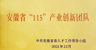 芜湖市市委组织部为太阳成集团tyc234cc古天乐安徽省“115”产业创新团队授牌